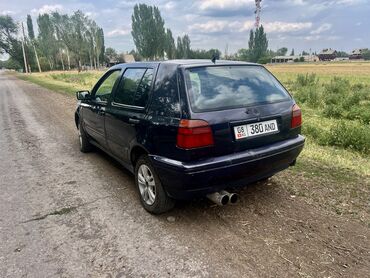 машина в караколе: Volkswagen Golf: 1995 г., 1.6 л, Механика, Бензин, Хэтчбэк