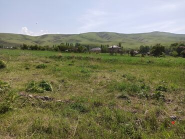 продаю участок село орок: 5 соток, Курулуш, Кызыл китеп, Сатып алуу-сатуу келишими