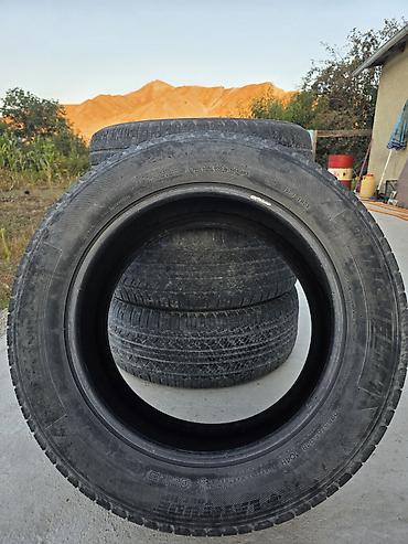 stage 3: Шины 255 / 55 / R 18, Лето, Б/у, Комплект, Легковые, США, Michelin — 1