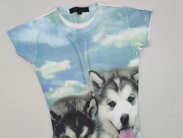 maltese: Miso, T-shirt damski, rozmiar M — 1