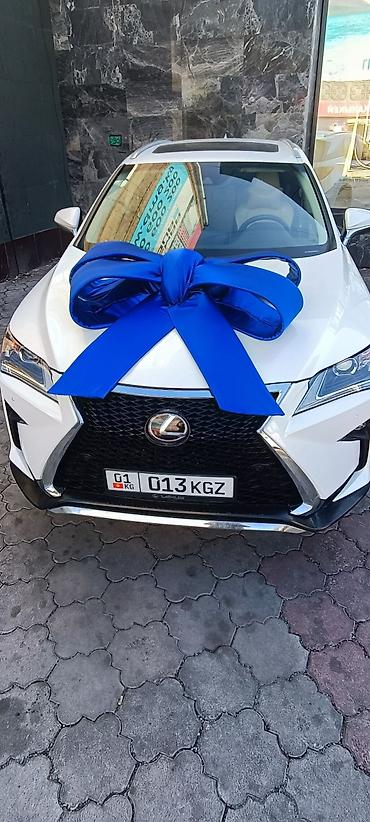 Организация мероприятий: Организация мероприятий | Оформление мероприятий — 19