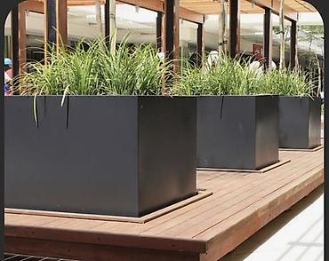 Digər bitkilər: Dibcekler — 4