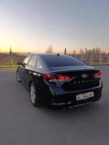 sonata 2012: Hyundai Sonata: 2017 г., 2.4 л, Автомат, Бензин, Седан — 4