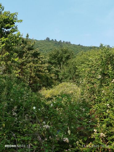 Torpaq sahələrinin satışı: 186 sot, Tikinti, Maklerlər narahat etməsin, Kupça (Çıxarış) — 2