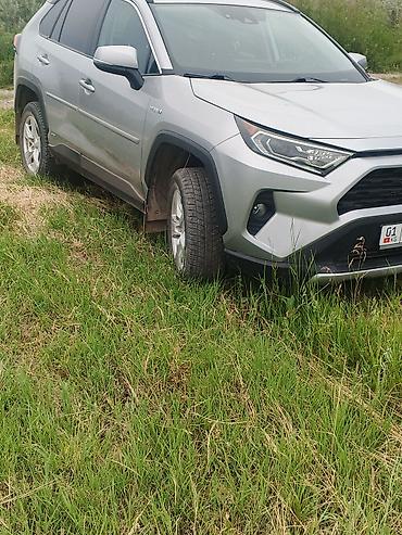 силен: Toyota RAV4: 2019 г., 2.5 л, Гибрид, Кроссовер — 5