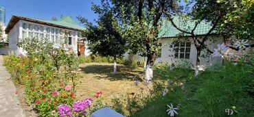 Torpaq sahələrinin satışı: 12 sot, Tikinti, Makler, Kupça (Çıxarış) — 5