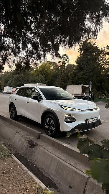 электромобиль хончи 2021: Changan Qiyuan Q05: 2026 г., Электромобиль — 10