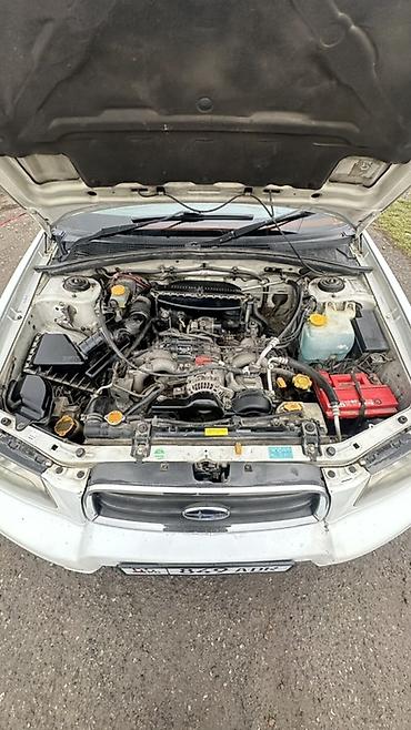 Subaru: Subaru Forester: 2003 г., 2 л, Автомат, Бензин, Универсал — 15