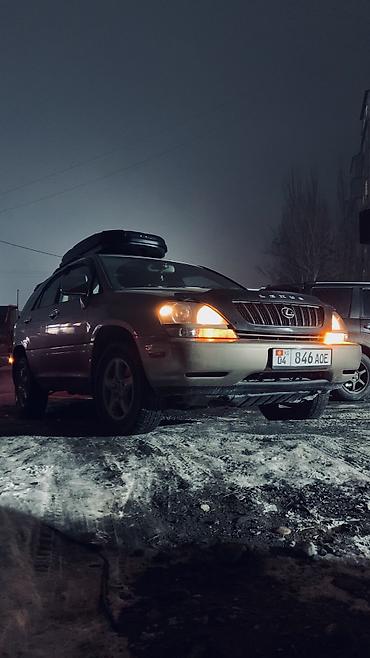 Lexus: Lexus RX: 2004 г., 3 л, Автомат, Газ, Кроссовер — 1