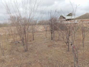 Həyət evləri və villaların satışı: 3 otaqlı, 72 kv. m, Orta təmir — 14