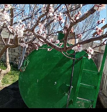 Bağ evlərinin satışı: Xırdalan, 12000 kv. m, 4 otaqlı, Hovuzsuz, Su — 1