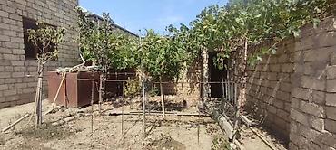 Həyət evləri və villaların satışı: 6 otaqlı, 200 kv. m, Təmirsiz — 25