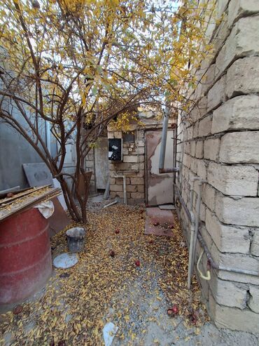 Həyət evləri və villaların satışı: 2 otaqlı həyət evi/sahə - Daş hasarla əhatəli kiçik həyət, darvaza — 6