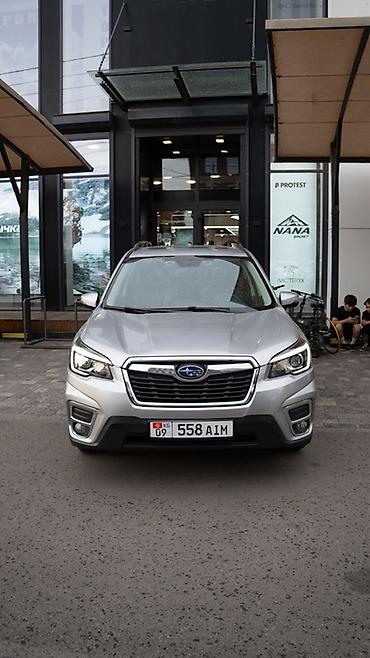 outback 2017: Subaru Forester: 2019 г., 2.5 л, Автомат, Бензин, Кроссовер — 4