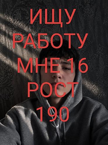 Жумуш: Услуга: соискатель ищет работу О себе: - Возраст: 16 - Рост: 190 см — 1