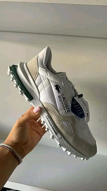 Trainers: Lacosta patike
41-46 at lalafo.rs — 2 Trainers: Lacosta patike
41-46 — 2