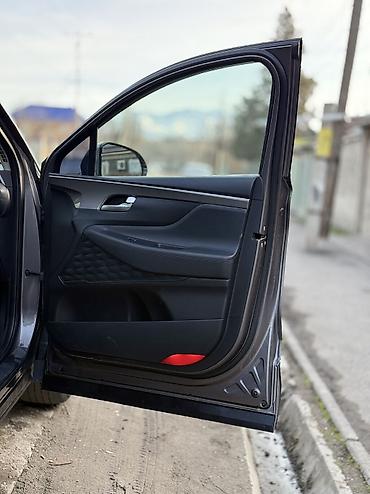 Hyundai: Hyundai Santa Fe: 2019 г., 2 л, Автомат, Дизель, Внедорожник — 19