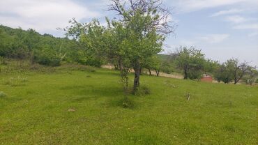 balaxanida heyet evi: 60 sot, Mülkiyyətçi