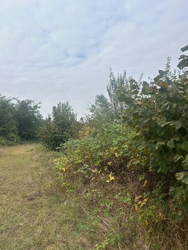 Torpaq sahələrinin satışı: 110 sot, Tikinti — 2