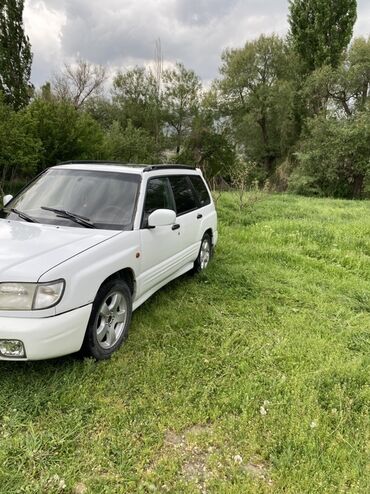 субару цена бишкек: Subaru Forester: 2000 г., 2.5 л, Автомат, Бензин, Жол тандабас