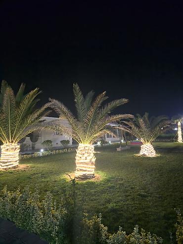 Günlük kirayə evlər: Sizdə Bizim Ailəvi İstirahət Mərkəzində Dincəlməy Şansını Əldən — 19