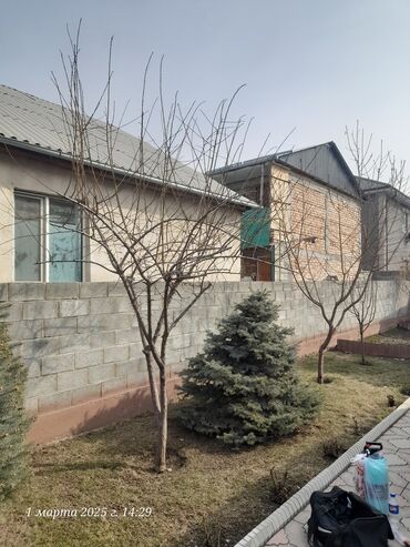 Спил деревьев, заготовка дров: Обрезка деревьев!!! Сезонная обрезка плодовых деревьев!!! Зима — 12