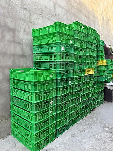 hoya gulu: 1ri 2.50 reyal alcı yasın tek tek satılmır — 1