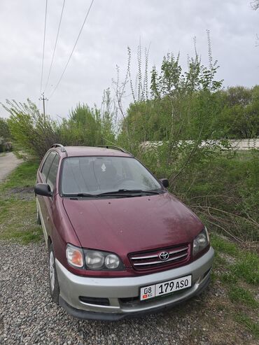 дизельный машины: Toyota Picnic: 1998 г., 2 л, Механика, Дизель, Минивэн