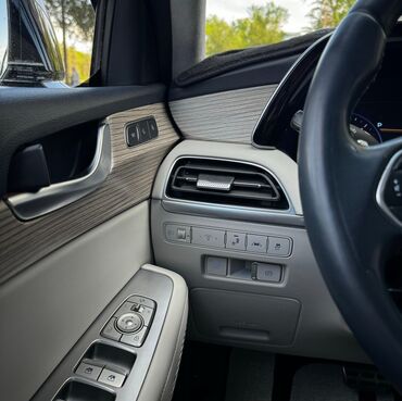 Hyundai: Hyundai Palisade: 2018 г., 2.2 л, Автомат, Дизель, Кроссовер