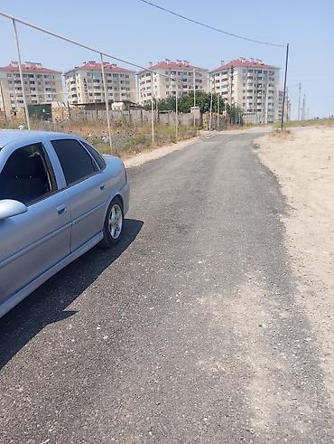 bine atciliqda: 3 sot, Biznes üçün, Maklerlər narahat etməsin, Bələdiyyə, Müqavilə — 1