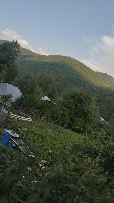 xirdalan abseron city kiraye evler: 5 sot, Mülkiyyətçi, Kupça (Çıxarış) — 1