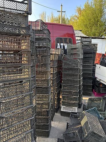 Пластик кабыл алуу: Пластик кабыл алуу, 2 - HDPE (ПВД) — 6