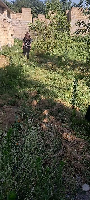 Torpaq sahələrinin satışı: 5 sot, Tikinti, Mülkiyyətçi, Kupça (Çıxarış) — 2