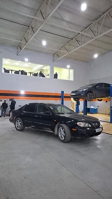 mustan: Nissan Maxima: 3 l | 2006 il Sedan — 10