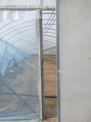 Теплицы: Тепличный комплекс каркасно-пленочного типа - Пролетная теплица с — 9