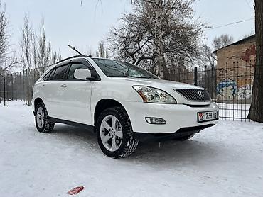 Lexus: Lexus RX: 2004 г., 3.3 л, Автомат, Бензин, Кроссовер — 9