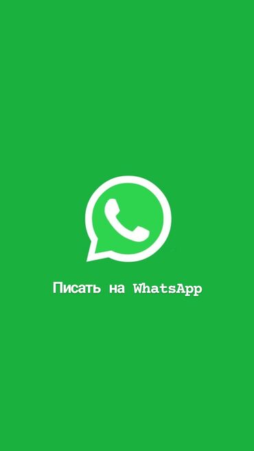 спринтер заказ: Ищю работу