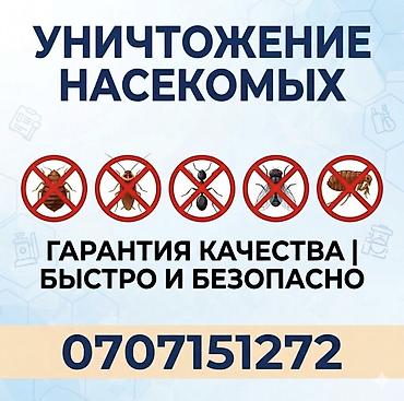 насекомые купить: Дезинфекция, дезинсекция, | Клопы, Блохи, Тараканы, | Транспорт, Офисы, Квартиры — 1