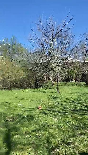 nesimi rayonunda satilan heyet evleri: 2 sot, Tikinti, Mülkiyyətçi, Kupça (Çıxarış) — 4