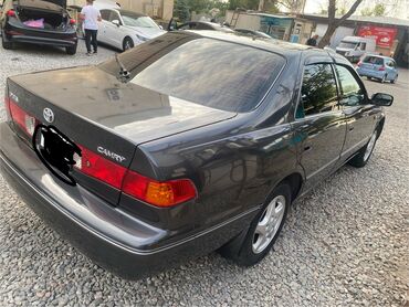 дерево руль мерс: Toyota Camry: 2000 г., 2.2 л, Автомат, Газ, Седан
