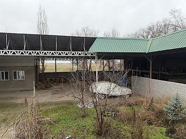 Продажа складов и мастерских: Продаю два дома остальное все по телефону Описание: - Просторная — 10