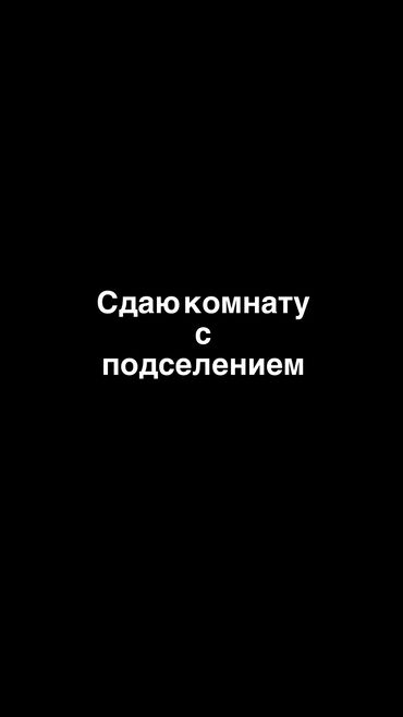 одна комнатный квартира бишкек: Комната берилет подселения менен кыздарга