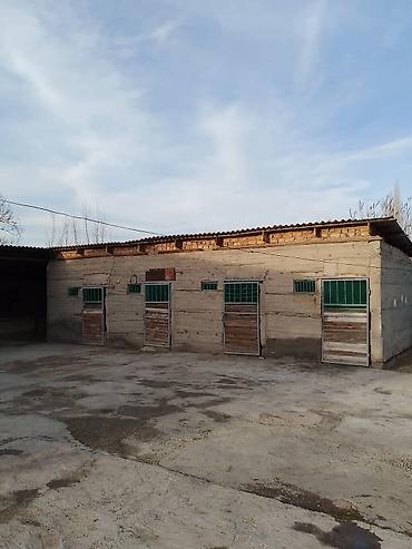 Продажа коттеджей и домов: Продаётся дача с хозяйственными постройками и просторным двором. - — 5