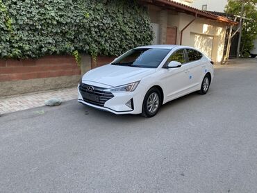 химия авто: Hyundai Avante: 2019 г., 1.6 л, Автомат, Газ, Седан