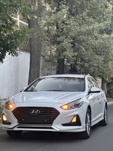 лобовые стекла саната: Hyundai Sonata: 2019 г., 2 л, Автомат, Газ, Седан
