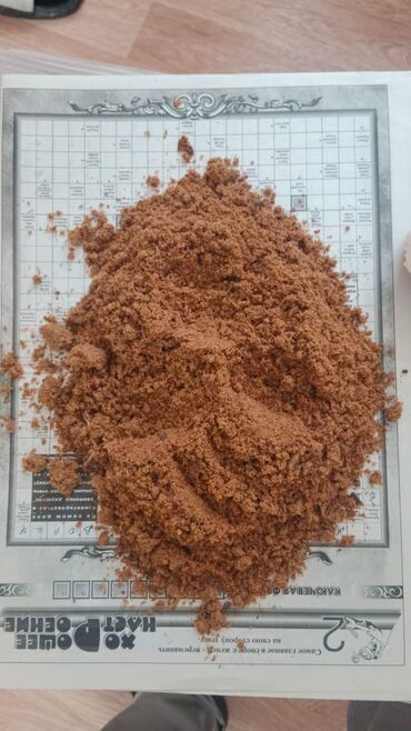 шотландская короткошерстная кошка: Мясокостная мука протеин 50-55% только оптом на заказ. Минимальный
