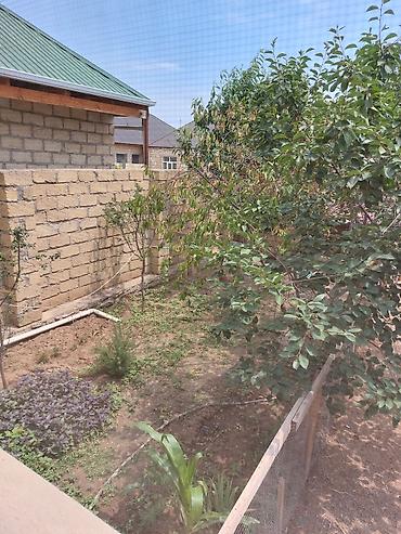 hovuzlu bağ evi: 4 otaqlı, 120 kv. m, Yeni təmirli — 2