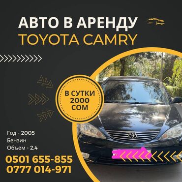 аренда авто с выкуп: Сдаю в аренду: Легковое авто, Частная аренда