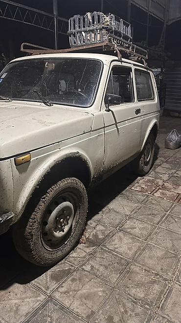arxa panel: VAZ (LADA) 4x4 Niva: 1.7 l | 1991 il 100000 km Universal — 3
