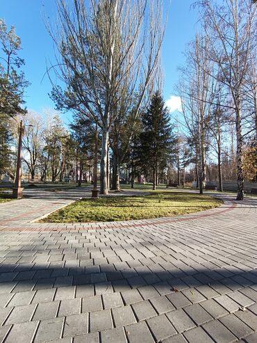 Посуточная аренда комнат: 18 м², С мебелью — 16